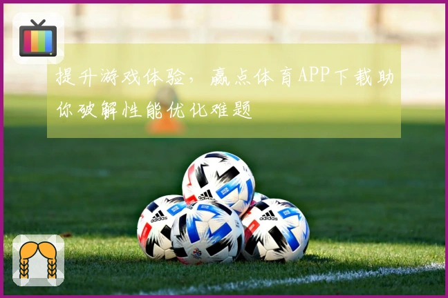 提升游戏体验，赢点体育APP下载助你破解性能优化难题